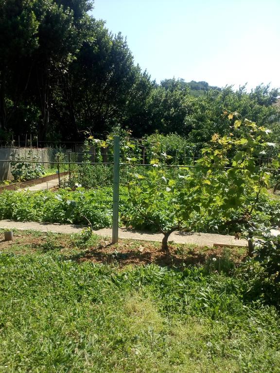 Jedro Apartmani Herceg Novi Exteriör bild